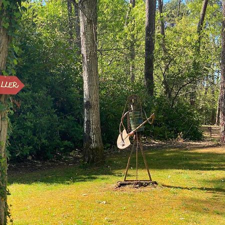 Вилла Le Petit Poulailler Au Beau Milieu Des Pins Лакано Экстерьер фото