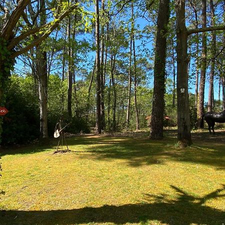 Вилла Le Petit Poulailler Au Beau Milieu Des Pins Лакано Экстерьер фото
