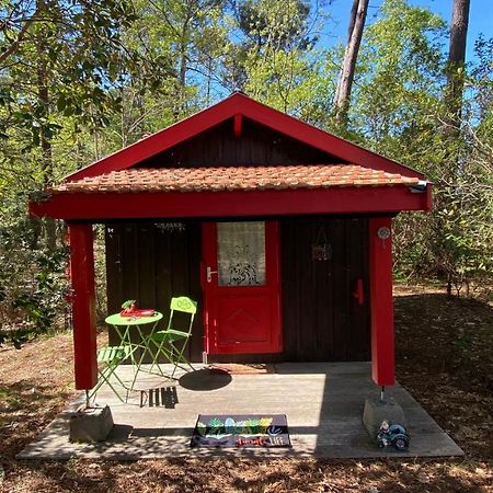 Вилла Le Petit Poulailler Au Beau Milieu Des Pins Лакано Экстерьер фото