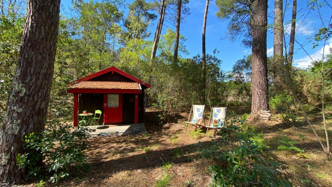 Вилла Le Petit Poulailler Au Beau Milieu Des Pins Лакано Экстерьер фото
