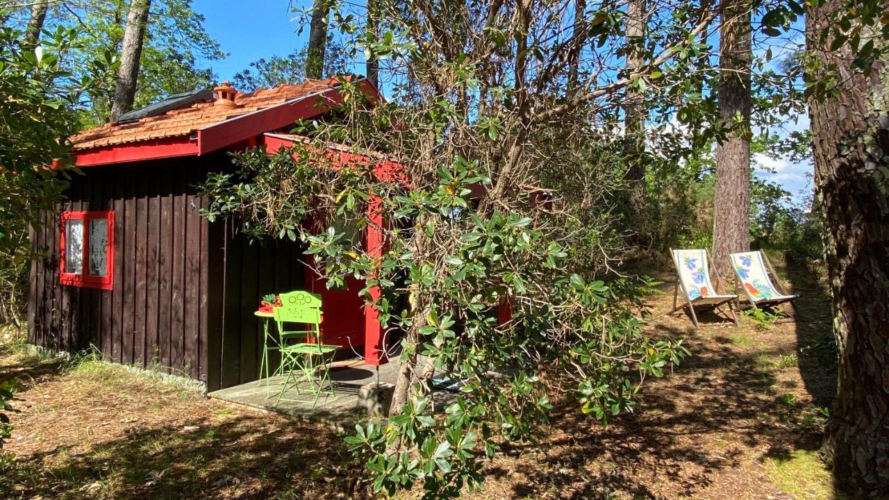 Вилла Le Petit Poulailler Au Beau Milieu Des Pins Лакано Экстерьер фото