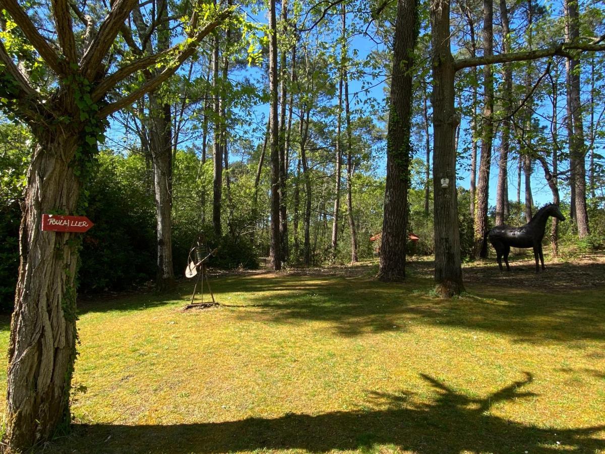 Вилла Le Petit Poulailler Au Beau Milieu Des Pins Лакано Экстерьер фото