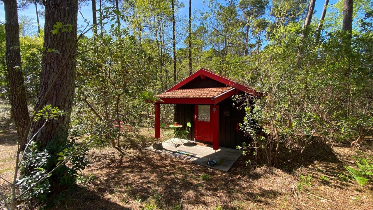 Вилла Le Petit Poulailler Au Beau Milieu Des Pins Лакано Экстерьер фото