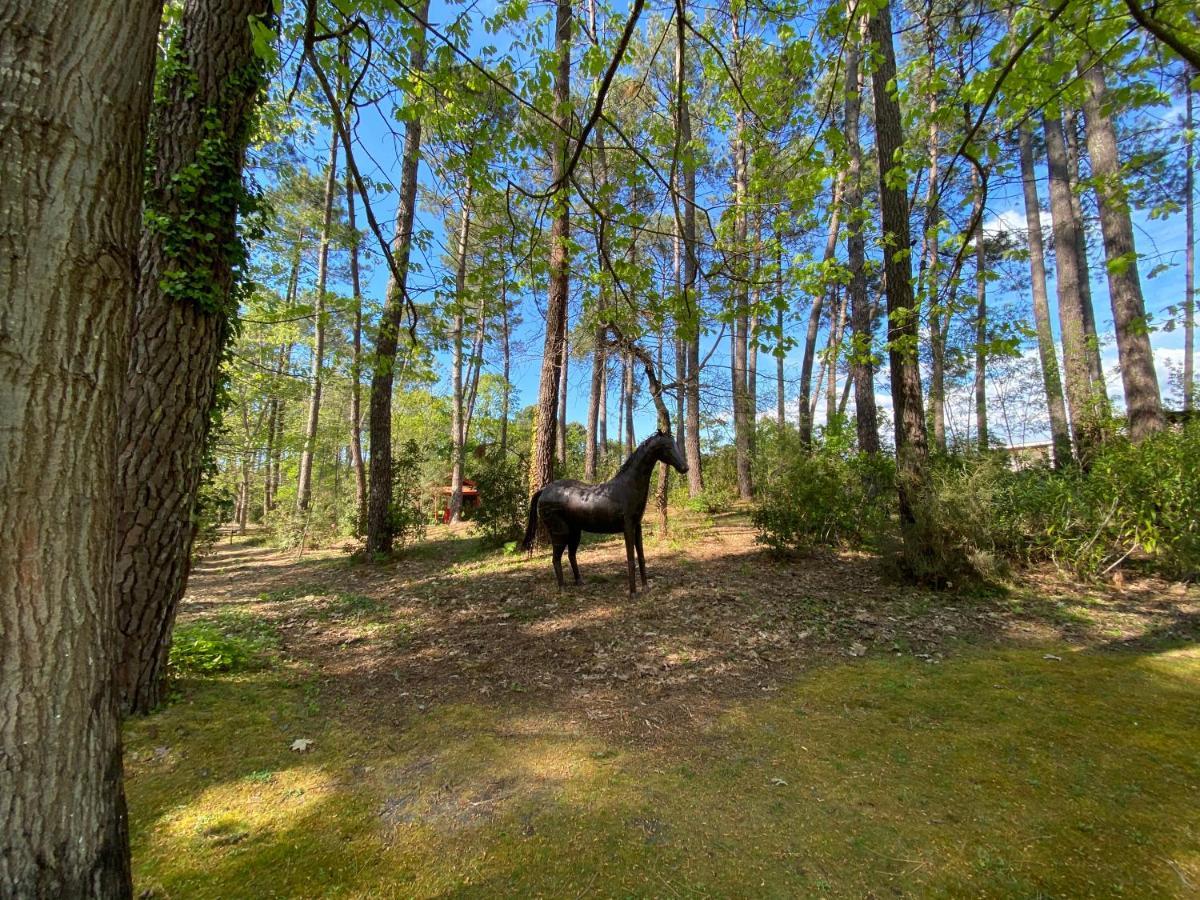 Вилла Le Petit Poulailler Au Beau Milieu Des Pins Лакано Экстерьер фото