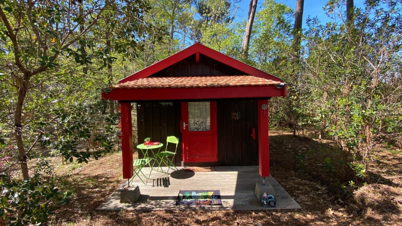 Вилла Le Petit Poulailler Au Beau Milieu Des Pins Лакано Экстерьер фото