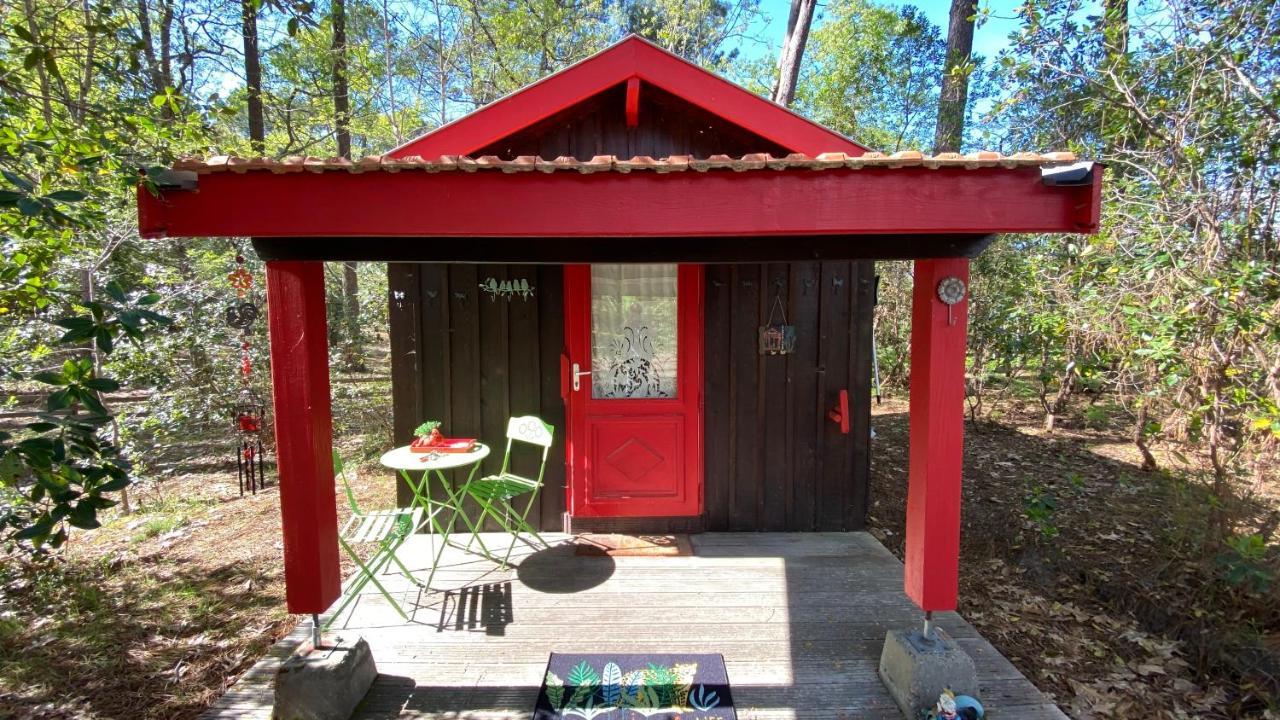 Вилла Le Petit Poulailler Au Beau Milieu Des Pins Лакано Экстерьер фото