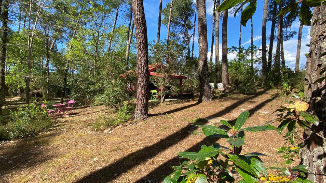 Вилла Le Petit Poulailler Au Beau Milieu Des Pins Лакано Экстерьер фото