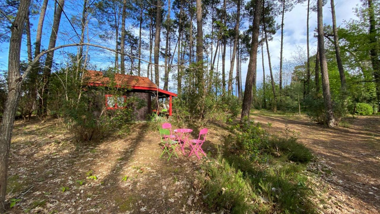 Вилла Le Petit Poulailler Au Beau Milieu Des Pins Лакано Экстерьер фото