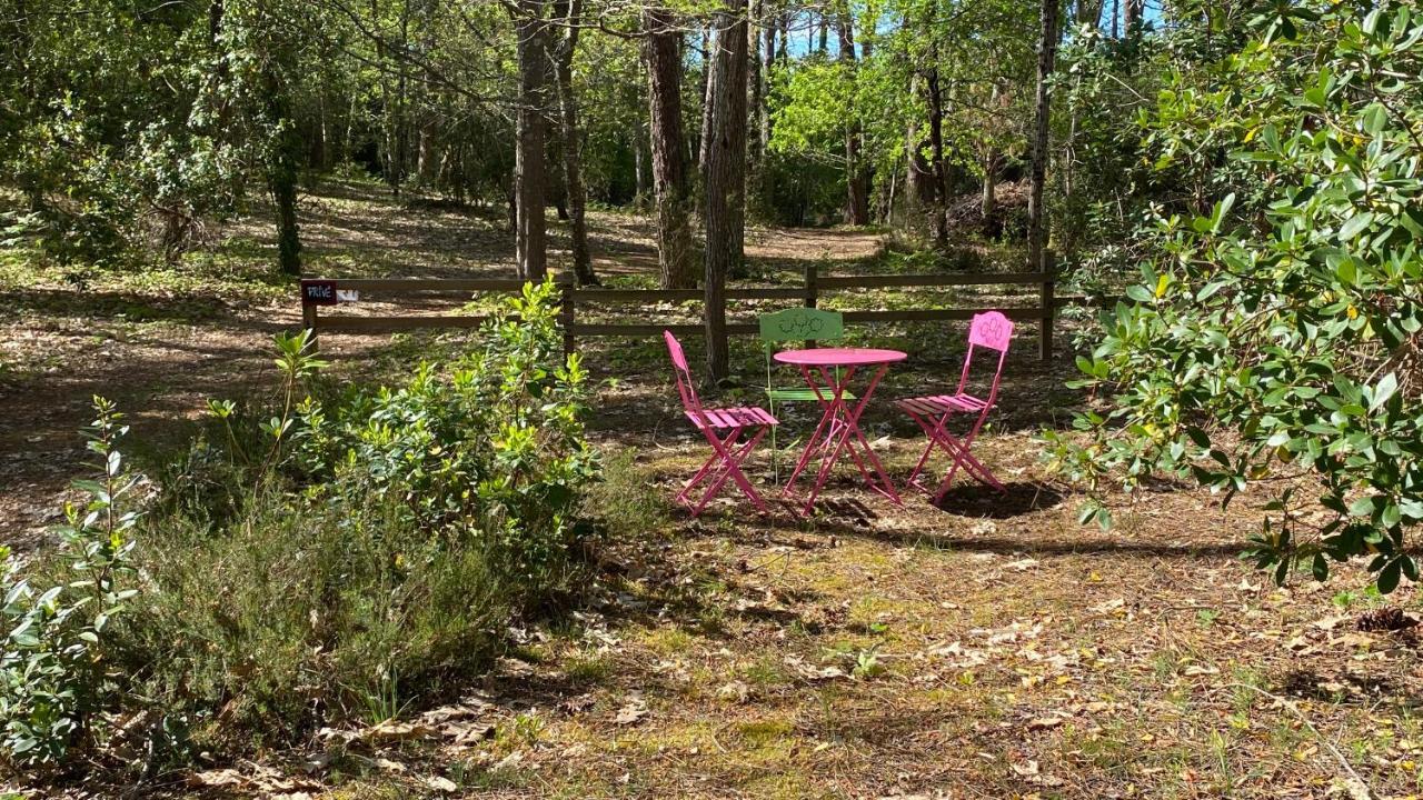 Вилла Le Petit Poulailler Au Beau Milieu Des Pins Лакано Экстерьер фото